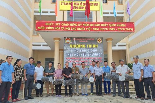 Phường Ninh Hòa: Trao tặng 10 con heo giống cho hộ nghèo, cận nghèo