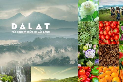 Bài toán thương hiệu và lời giải từ sở hữu trí tuệ