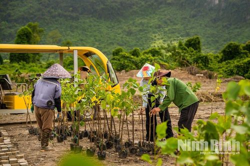 Tam Chúc tổ chức chuỗi sự kiện 'Mùa tri ân 2025' nhân dịp Quốc khánh 2/9