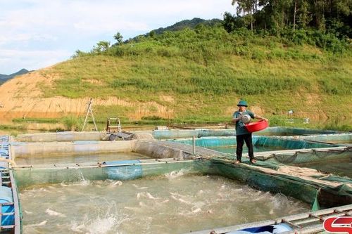 Phát triển kinh tế vùng lòng hồ