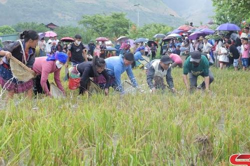 Sôi nổi Hội thi bắt cá