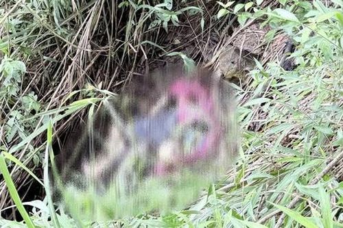 Phát hiện xe ô tô lao xuống vực sâu ở Mẫu Sơn nhiều ngày