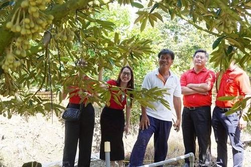 Agribank tiếp sức, thầy giáo bén duyên với nông nghiệp công nghệ cao