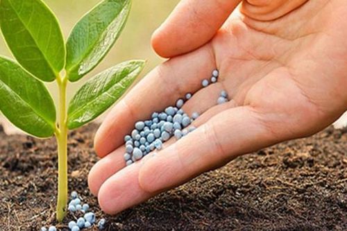 Ngành phân bón, hóa chất bùng nổ: Đạm Cà Mau, Đạm Phú Mỹ đã vượt xa kế hoạch lợi nhuận cả năm