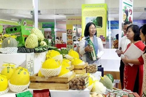 Tiềm năng phát triển mô hình hợp tác xã điện tử