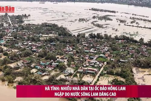 Hà Tĩnh: Nhiều nhà dân tại ốc đảo Hồng Lam ngập do nước sông Lam dâng cao