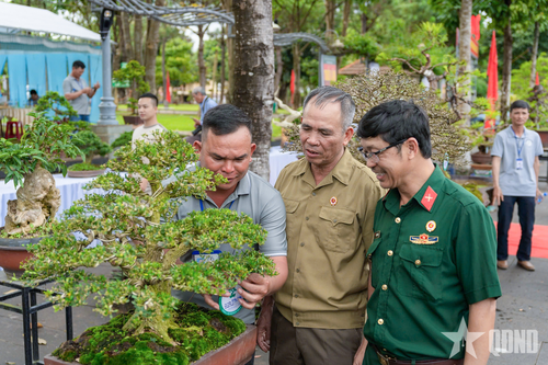 Gia Lai: Triển lãm chuyên đề 'Hồn của đất' và 'Nét xanh đại ngàn'