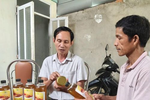 Hỗ trợ người dân nuôi ong, bảo vệ rừng