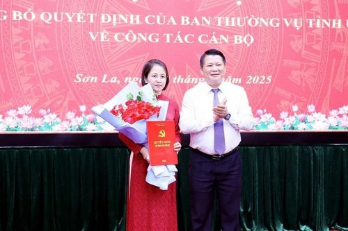 Điều động, bổ nhiệm, bầu nhân sự mới ở 4 tỉnh