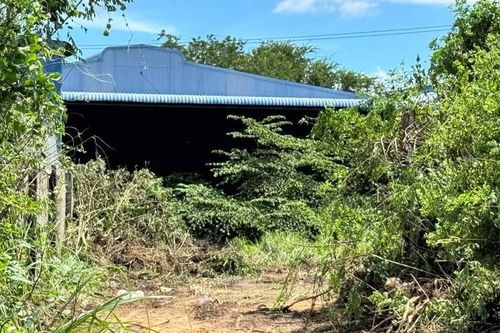 Phát hiện thi thể người đàn ông trong nhà hoang sau hơn 10 ngày mất tích