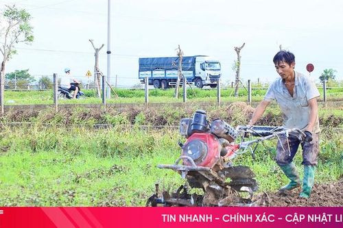 Tranh thủ nắng ráo, nông dân tập trung khôi phục sản xuất