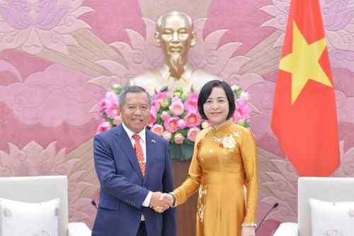Phó Chủ tịch Quốc hội Nguyễn Thị Thanh tiếp Hội Hữu nghị Lào-Việt Nam