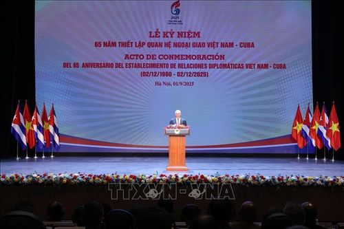 Đoàn kết với Cuba xuất phát từ trái tim và trong suy nghĩ của mỗi người Việt Nam