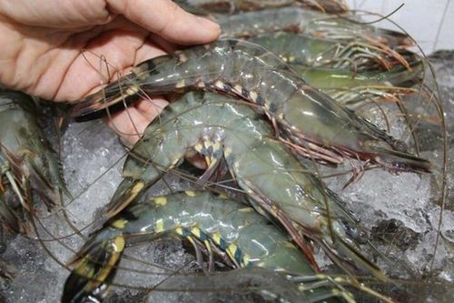 Đi chợ dịp lễ, gặp 6 loại tôm này tuyệt đối không mua dù rẻ cỡ nào, tránh rước bệnh vào thân