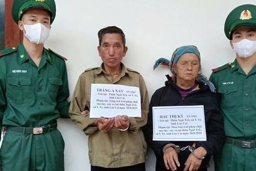 Đồn Biên phòng Y Tý khởi tố 2 đối tượng mua bán, tàng trữ trái phép chất ma túy