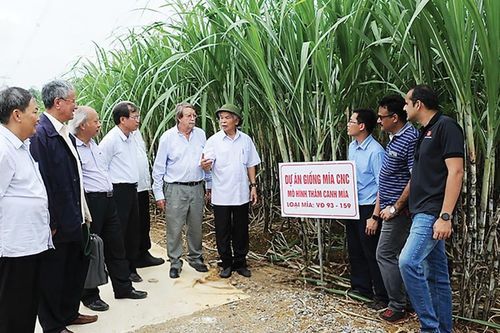 Dấu chân người tiên phong