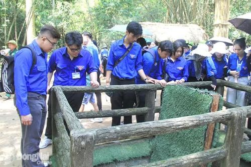 Tuổi trẻ và sứ mệnh viết tiếp câu chuyện hòa bình