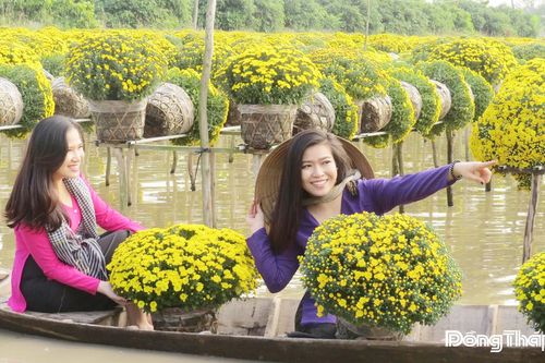 Sa Đéc: Biến khát vọng 'hoa trong phố, phố trong hoa' thành hiện thực