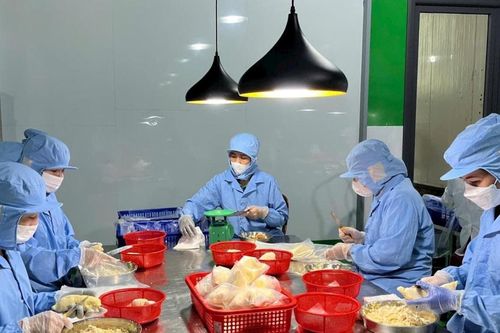 Hợp tác xã nông nghiệp ở Lâm Ðồng có doanh thu bình quân 1,5 tỷ đồng/năm
