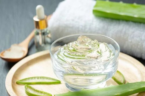 Cách sử dụng lô hội (nha đam) để có làn da sáng và mái tóc khỏe mạnh