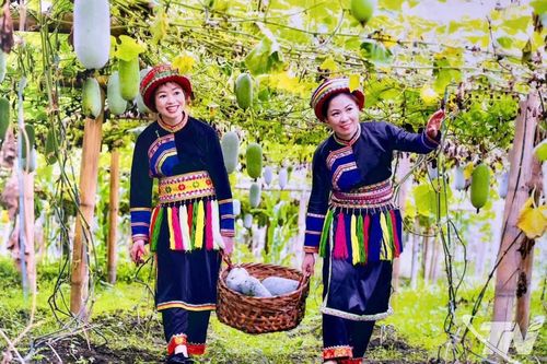 Nâng tầm thương hiệu nông sản