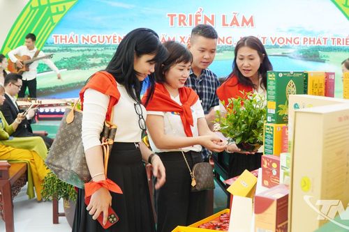 Ta tự hào đi lên