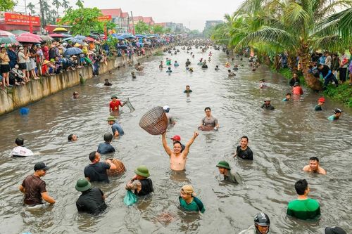 Hải Phòng: Độc đáo hàng nghìn người thi bắt cá bằng nơm tại xã Chí Minh