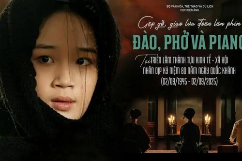 Chiếu miễn phí 50 phim điện ảnh Việt tại Triển lãm A80