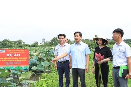 Xây dựng các mô hình khuyến nông sinh thái, đa giá trị