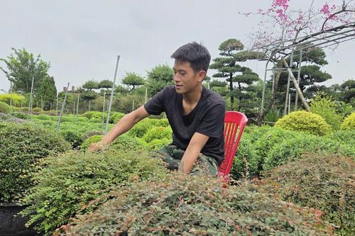Làng sinh thái nơi ngã ba sông