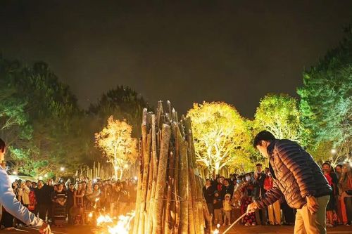 Quảng Ngãi: Du lịch sôi động du lịch từ rừng xanh đến biển đảo trong dịp lễ