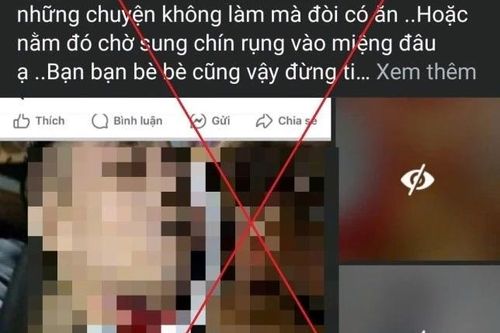 Xử phạt người phụ nữ đăng tải hình ảnh rùng rợn để câu view