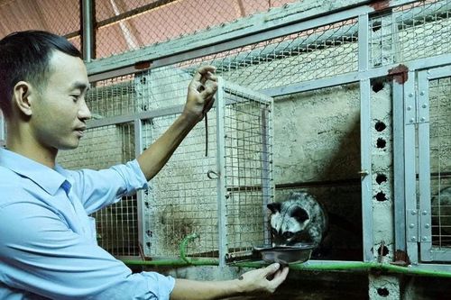 Gần 600 tổ chức, cá nhân nuôi nhốt động vật hoang dã tại Nghệ An được quản lý chặt chẽ
