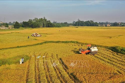 50 năm quan hệ Việt Nam - Panama: Đẩy mạnh hợp tác trong lĩnh vực nông nghiệp