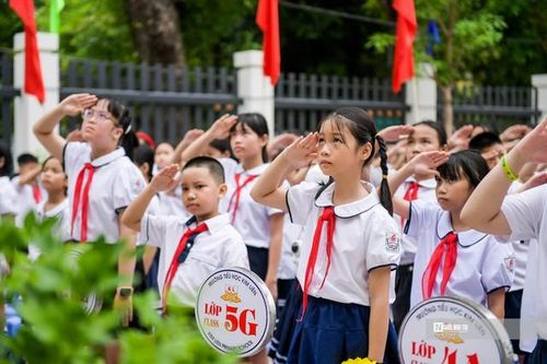 Phát triển các đội thể thao trong trường học