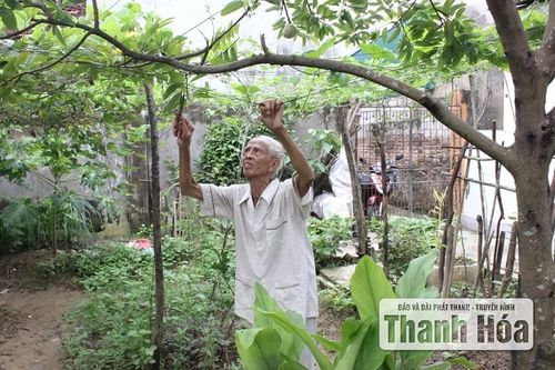 Nhớ về Bác, lòng ta trong sáng hơn!