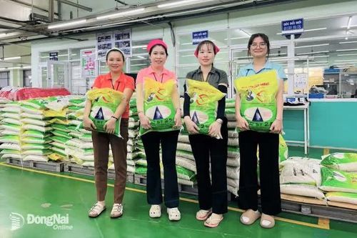 Khắp nơi trong tỉnh sáng 2-9-2025