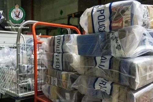Australia phá đường dây nhập khẩu hơn 500 kg cocaine qua cảng Sydney