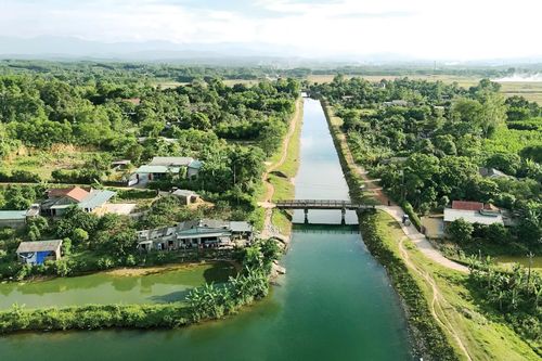 Thương nhớ Hải Lệ...