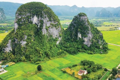 Người khai khẩn vùng quê cách mạng