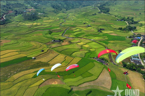 Xanh những giấc mơ đồng quê