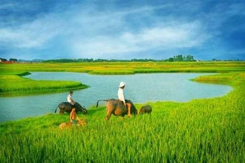 Vùng trời quê hương