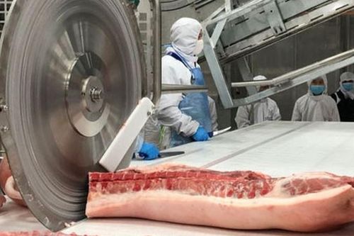Giá heo hơi hôm nay 3/9 đồng loạt chững giá, Trung Quốc hướng tới việc kiềm chế 'nuôi béo thứ cấp'