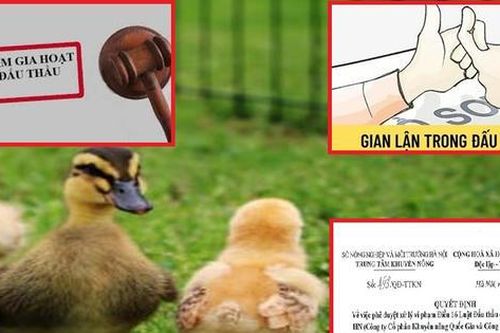 Hà Nội: Trung tâm Khuyến nông Hà Nội cấm 2 nhà thầu tham gia đấu thầu trong 4 năm