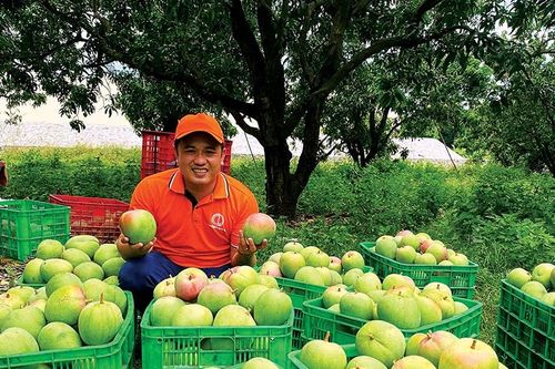 Người trẻ và giấc mơ Khánh Hòa mới