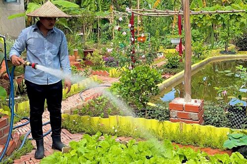 Chàng trai Vĩnh Long bỏ phố về quê, biến đất hoang thành khu vườn ai cũng ao ước