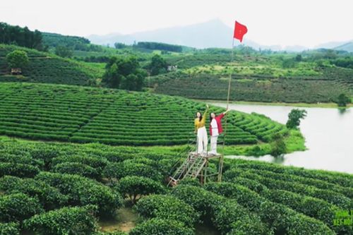 Hành trình kết nối xanh: Trải nghiệm 'Ốc đảo xanh xứ Nghệ'