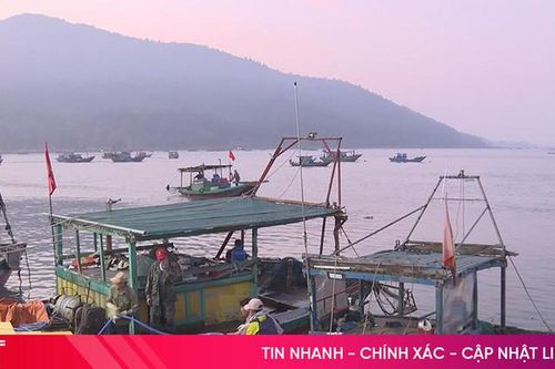 Ngư dân Hà Tĩnh vươn khơi sau thời gian dài tránh bão