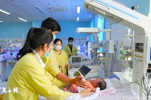 Những em bé chào đời trong ngày Tết Độc lập của dân tộc