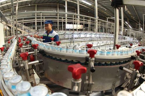 Xu hướng việc làm xanh đòi hỏi người lao động có kỹ năng phù hợp